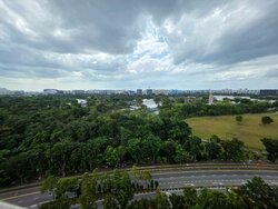 Ivory Heights (D22), Condominium #524377011